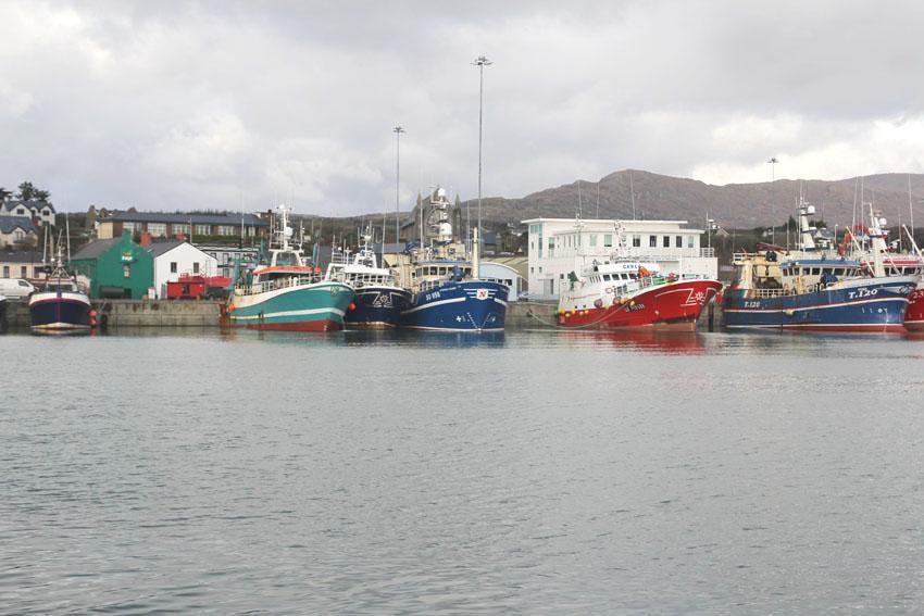 The Beara Coast Hotel คาสเซิลทาวน์เบียร์ ภายนอก รูปภาพ