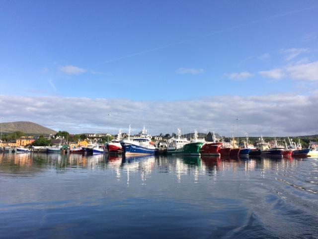 The Beara Coast Hotel คาสเซิลทาวน์เบียร์ ภายนอก รูปภาพ